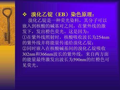  凝胶电泳用染料染色的原理「凝胶电泳用染料染色的原理是」-图3