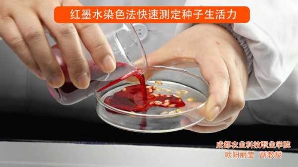 染料染色法测定种子活力_ttc染色法测种子活力-图1