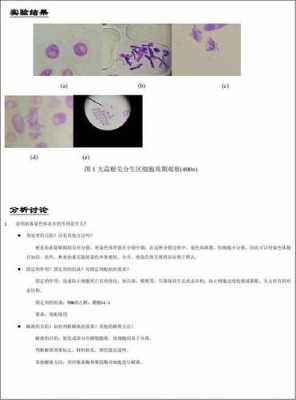 观察染色体的染料（观察染色体用什么试剂）-图1