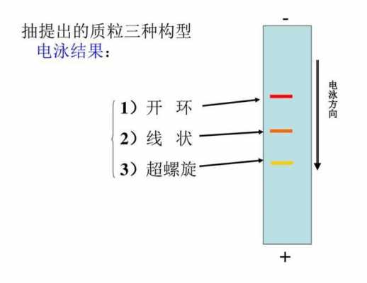 dna在碱性条件下带什么电荷-DNA可以被碱性染料染色吗-图1