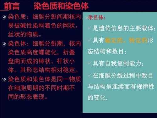  染色体碱性染料的危害「染色质碱性染料有哪些」-图1