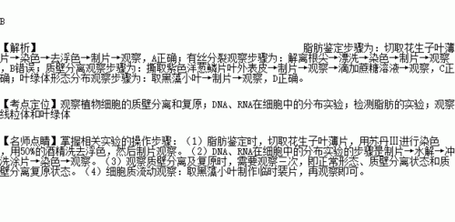 核糖体是否含有染色质染料-图1