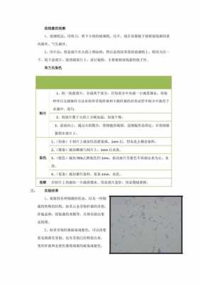 微生物形态观察染色染料_微生物的染色及观察实验报告-图2