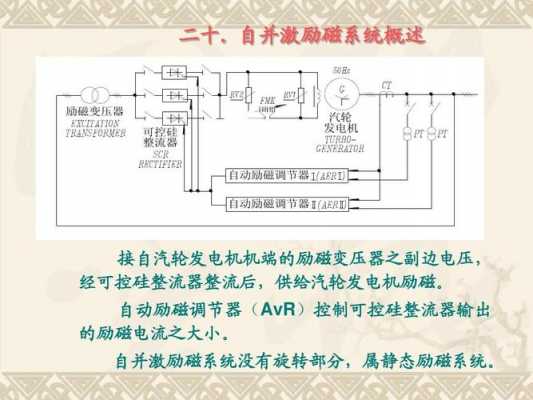  异步发电机过励磁「异步发电机励磁启动」-图3