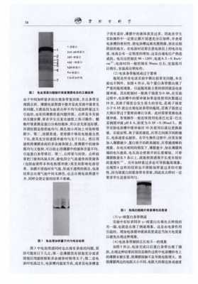 醋酸纤维染色常见问题-图1