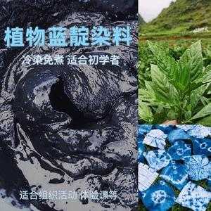 可以染色植物的染料有哪些（可以用来染色的植物）-图3