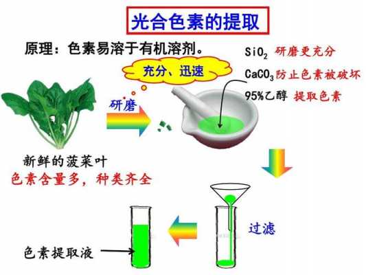 功能染料在生活中的作用-功能染料的染色机理-图2