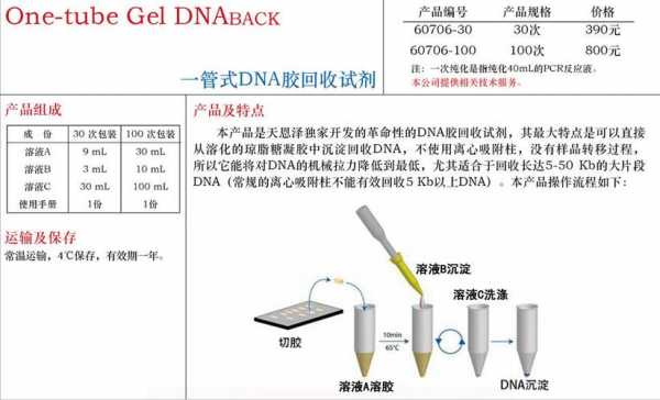 染色染料对dna胶回收的影响有哪些-染色染料对dna胶回收的影响-图1