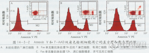  7-aad染料染色原理「dc染色剂」-图3