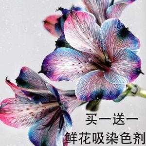 花染色用什么染料最好呢_花染色用什么染料最好呢视频-图1