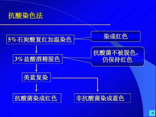 抗酸染色法的染色程序-图2