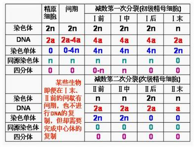 染色体的碱性染料有哪些 染色体的碱性染料-图3