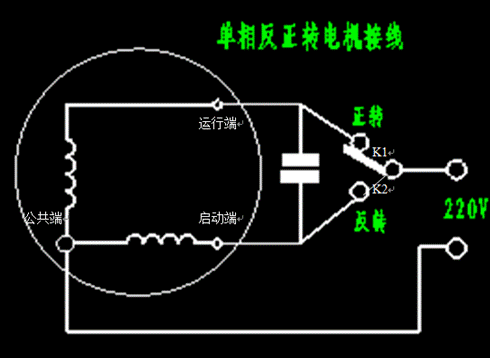 异步电机倒转发电机不转,异步电动机的反转 -图3