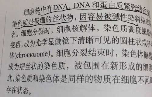 染色质为何容易被碱性染料染成（染色体易被碱性染料染色）-图1