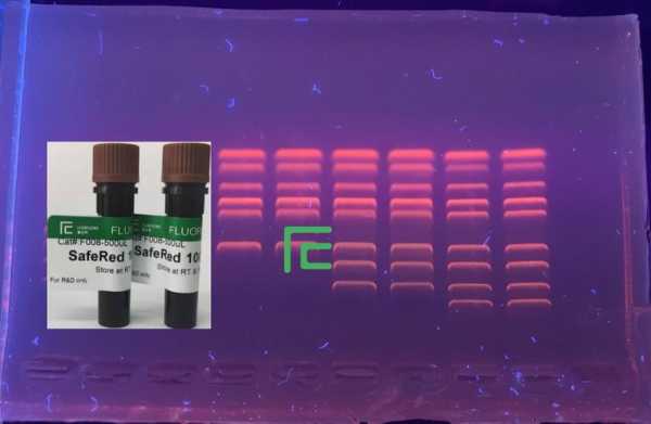 核酸染料染色剂实验-图2