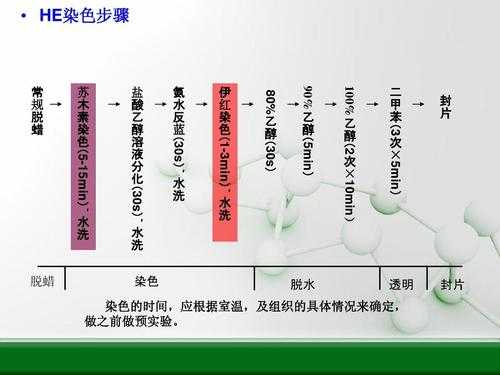 影响染色结果的关键步骤-影响染料染色的因素-图2