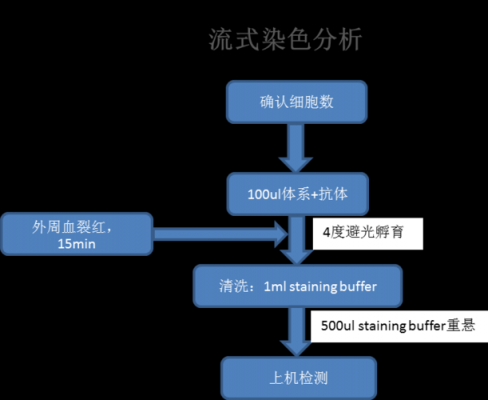 影响染色结果的关键步骤-影响染料染色的因素-图3