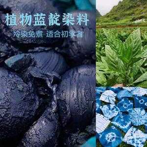 植物染料蓝靛怎么染色快-图2