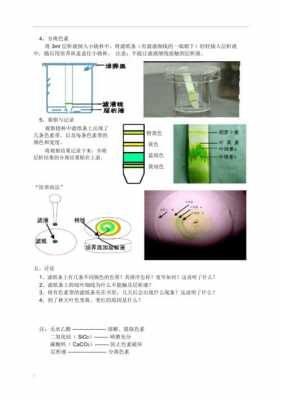 怎么提取植物染色剂的染料（怎样提取植物的颜色染色）-图2