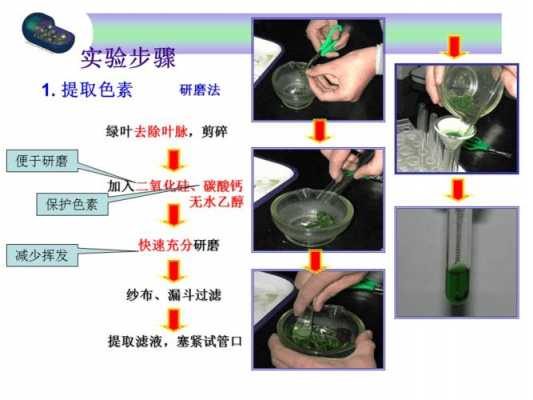 怎么提取植物染色剂的染料（怎样提取植物的颜色染色）-图1