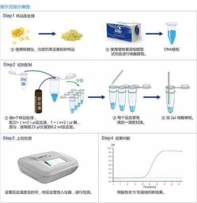 南京做pcr时核酸染料染色原理-图2