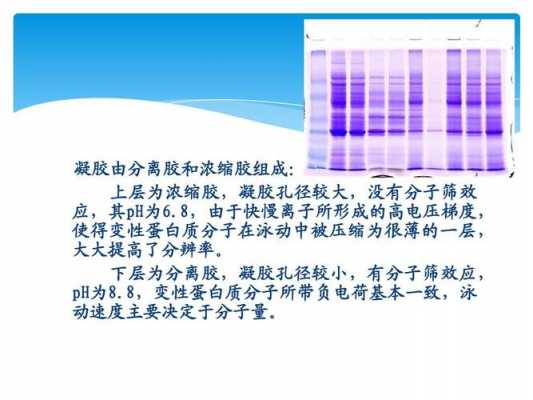 电泳染色的染料是什么_电泳染色剂有毒吗-图3