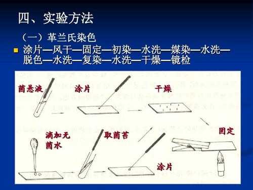 酸性媒染染料染色实验（酸性媒介染料染色配方）-图1