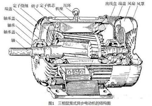 鼠笼式三相异步发电机转速（鼠笼式三相异步发电机工作原理）-图3