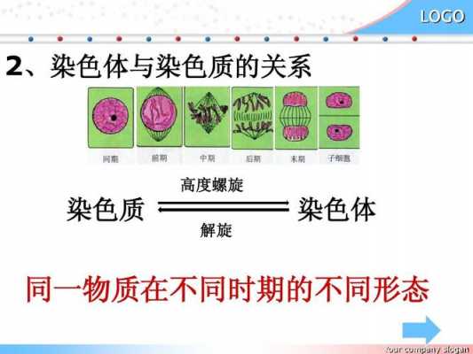 染色最深的物质是-图2