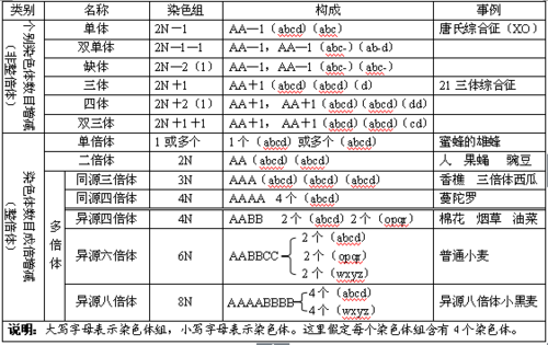 染色体染色常用的染色剂是什么-染料染染色体-图3