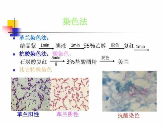 抗酸染色用到几种染料对比,抗酸染色法的染色原理 -图3