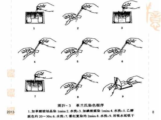 简单染色法的步骤是什么 简单染色法用什么染料-图2