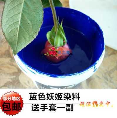 花染色用什么染料（花染色用什么染料最好）-图1