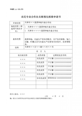 异步发电机购买申请书模板-图3