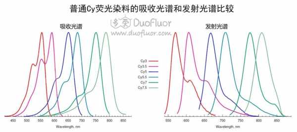 荧光染料染色细胞浓度偏低,荧光染料染色原理 -图2