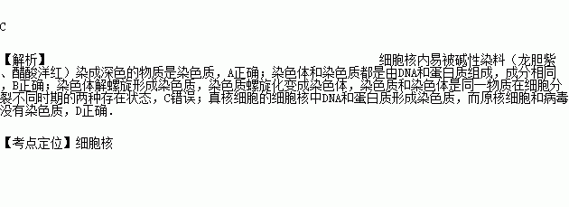 碱性染料能染染色体吗（碱性染色剂）-图3