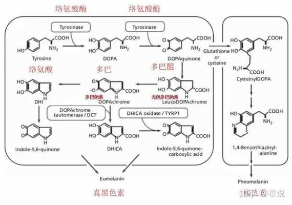 合成染料染色机理有哪些-图3