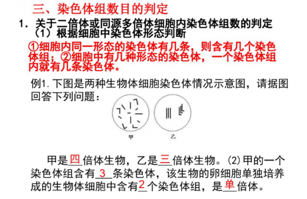 酸性染料生物染色体有哪些-图2