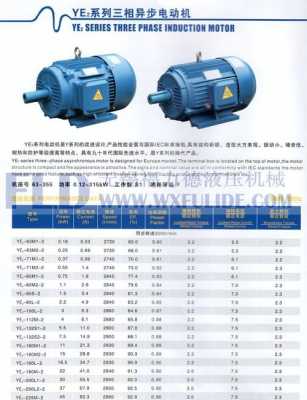 增城区异步发电机型号,异步发电机分类 -图3