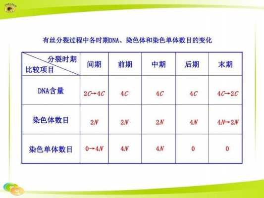 能用于染色体染色的染料,染色体可以用什么染色 -图1