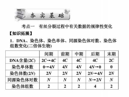  哪些是醇溶性染料染色体「哪些是醇溶性染料染色体组」-图3