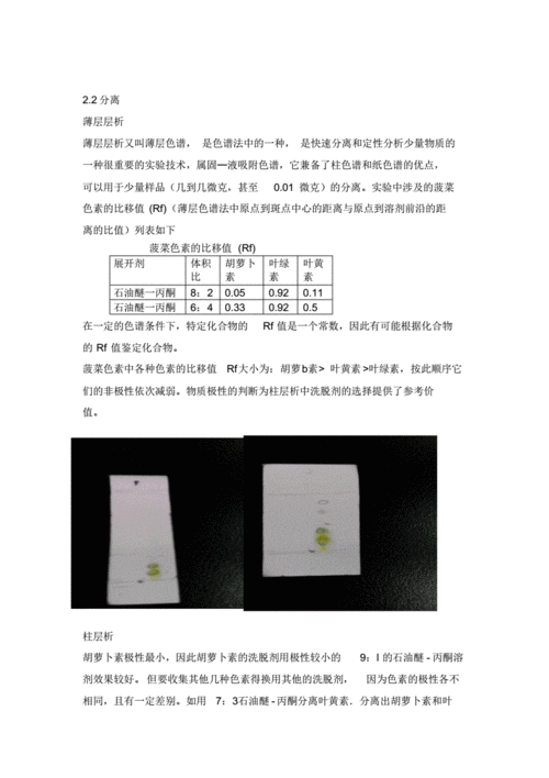 直接染料染色深度_直接染料染色实验结论-图2