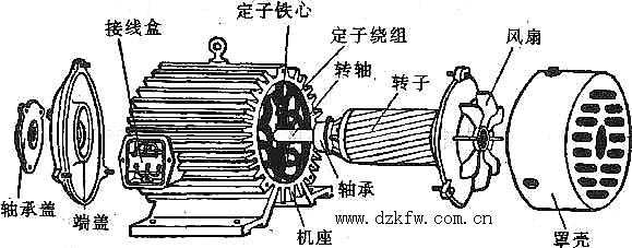 永磁电机异步电机-永磁异步发电机的结构组成-图3