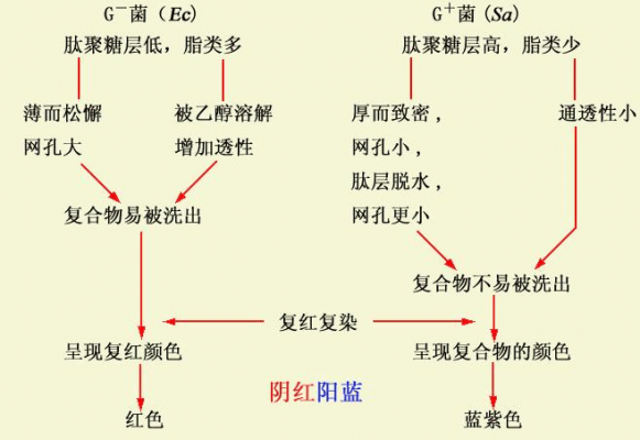 12型酸性含媒染料染色（12型酸性含媒染料染色原理）-图1