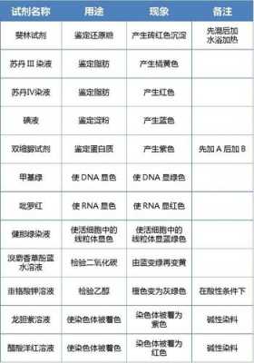 染色体可被什么染料染色（染色体可以用什么试剂染色）-图1