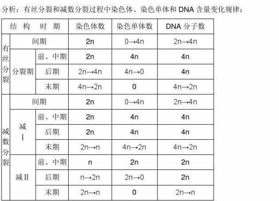 染色体可被什么染料染色（染色体可以用什么试剂染色）-图2