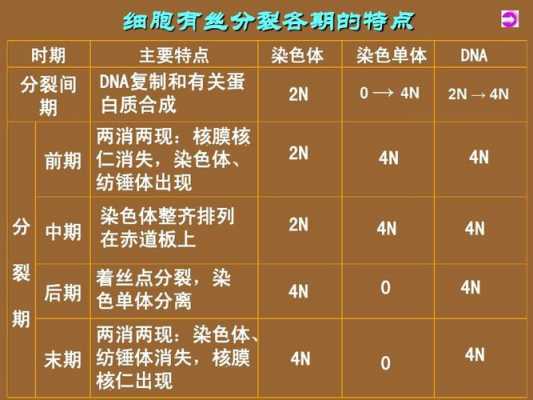 染色体可以被哪些染料染色_染色体可以用什么试剂染色-图1