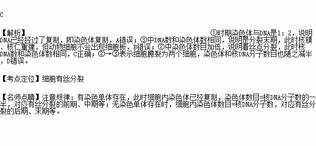 有核膜是否能染色晶体染料（有核膜是否能染色晶体染料的原因）-图1