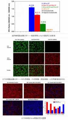  细菌活死染色染料「细菌活死染色染料有哪些」-图1