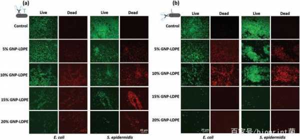  细菌活死染色染料「细菌活死染色染料有哪些」-图3